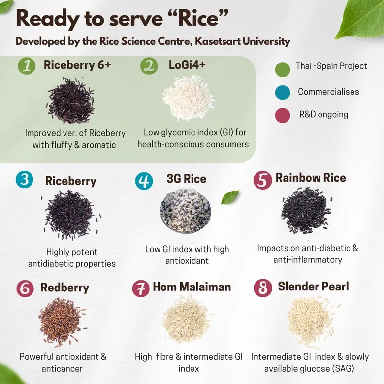 ประกาศความร่วมมือด้านนวัตกรรมครั้งแรกระหว่างรัฐบาลไทยและสเปน นำร่องพัฒนาสายพันธุ์ข้าวคุณภาพสูงจาก 2 ประเทศ โดยนักปรับปรุงพันธุ์ข้าวไรซ์เบอรี่คนแรกของไทย