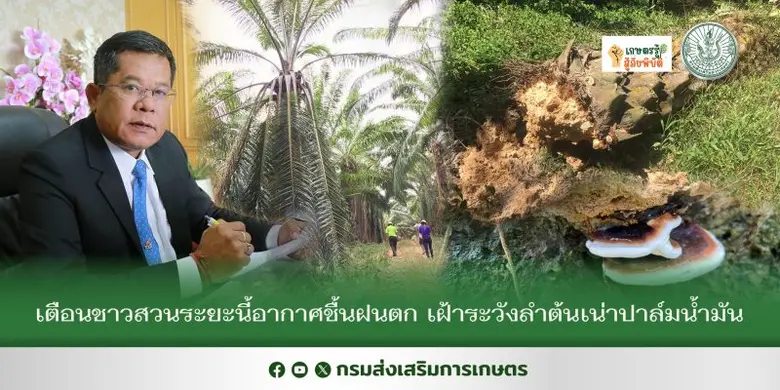 นายรพีทัศน์ อุ่นจิตตพันธ์ รองอธิบดีกรมส่ง...