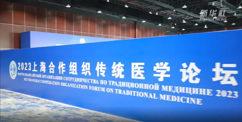 การประชุมการแพทย์แผนโบราณขององค์การความร่...