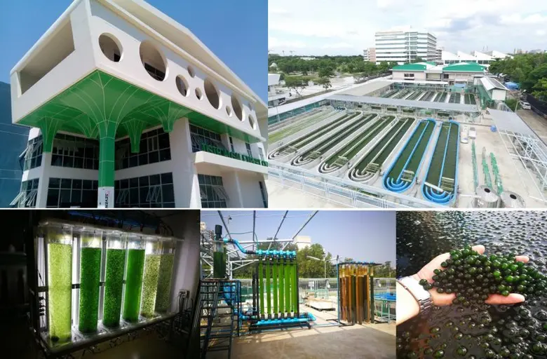 วว. /บริษัทบีจีซี พัฒนาเทคโนโลยีชั้นสูง ประยุกต์ใช้สาหร่ายขนาดเล็กดักจับคาร์บอนจากกระบวนการหลอมแก้ว แปรรูปอุตสาหกรรมอาหาร