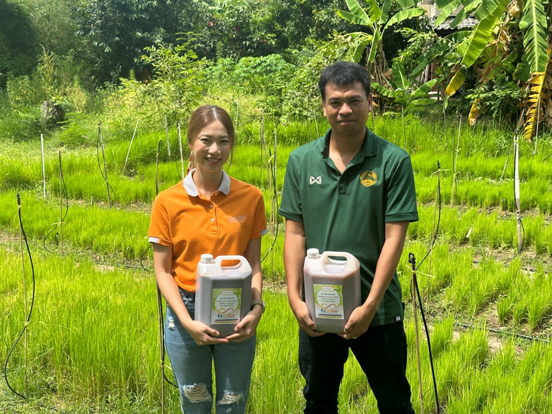 นาโนเทค สวทช. เปลี่ยนของเหลือจากการเกษตร-รง.กระดาษ สู่ "สารชีวภัณฑ์ไฮบริดระดับนาโน" ป้องกัน-ยับยั้งเชื้อราก่อโรคในนาข้าว ทดแทนสารเคมี ตอบ BCG เพื่อความยั่งยืน