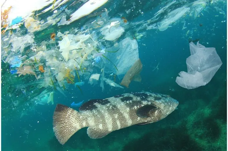 เรากำลังจะบอกลาปี 2566 ปีกระต่าย และเดินท...