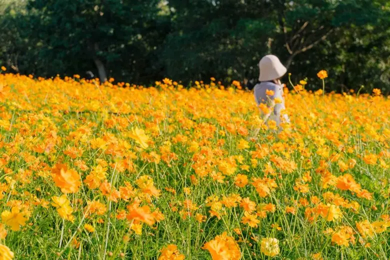 จิม ทอมป์สัน ฟาร์ม ชวนม่วนชื่น เที่ยวโอบขุนเขารับลม...