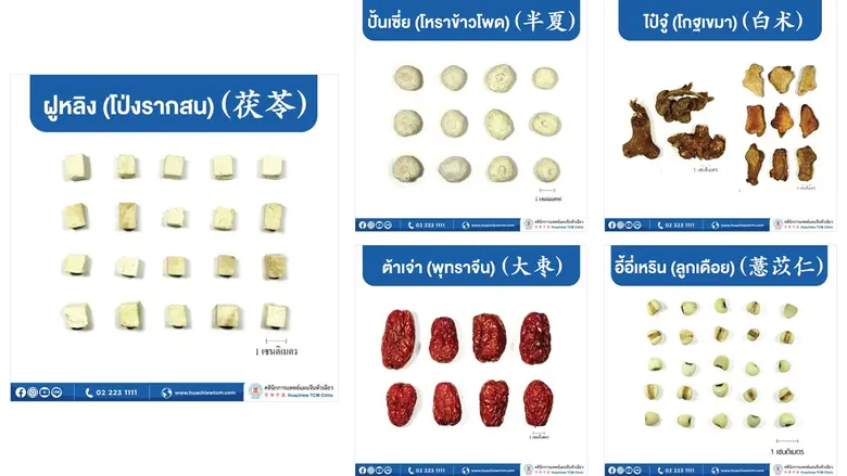 สมุนไพรจีนยอดฮิต พิชิตโรคทางเดินอาหาร โดย คลินิกการแพทย์แผนจีนหัวเฉียว
