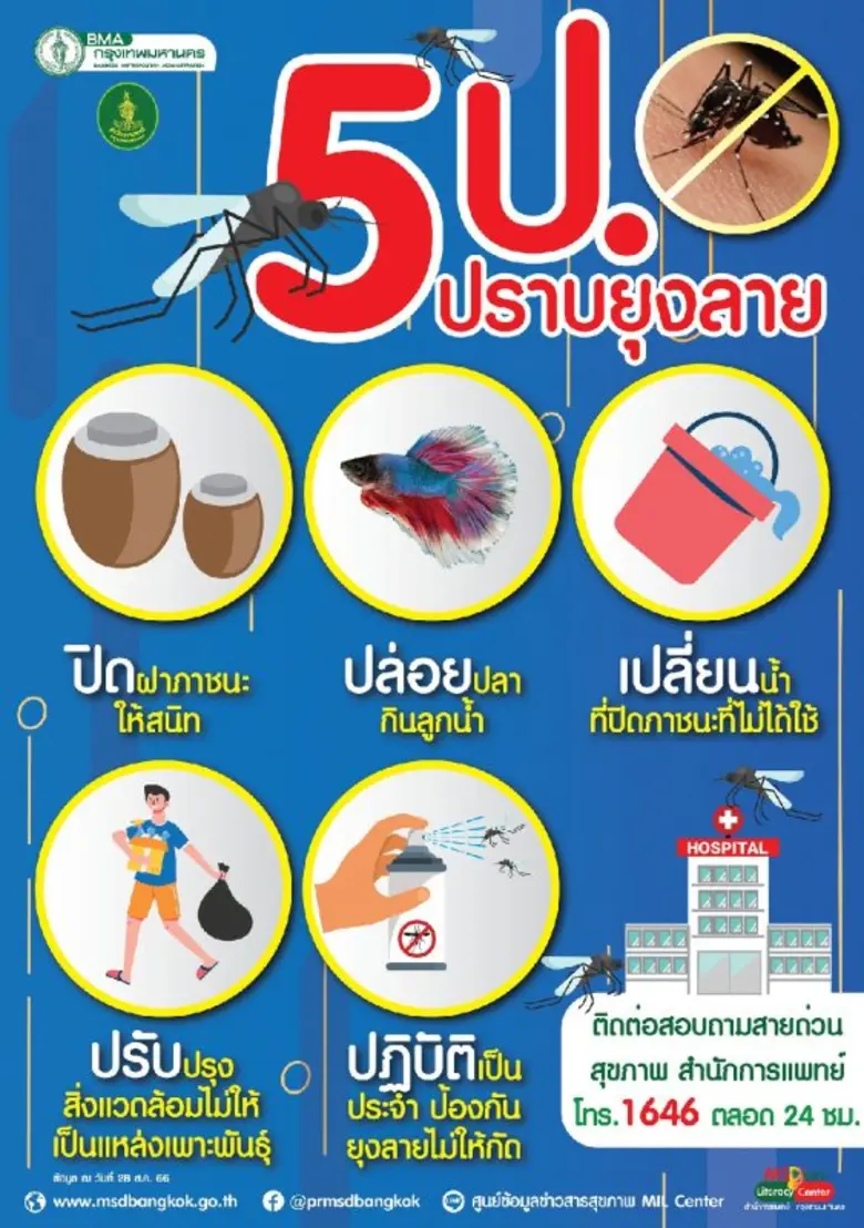กทม.รุกป้องกันควบคุมโรคที่มียุงลายเป็นพาหะ แนะปฏิบัติตามมาตรการ 5 ป.