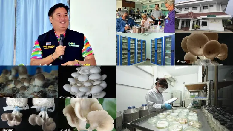 นายระพีภัทร์ จันทรศรีวงศ์ อธิบดีกรมวิชากา...