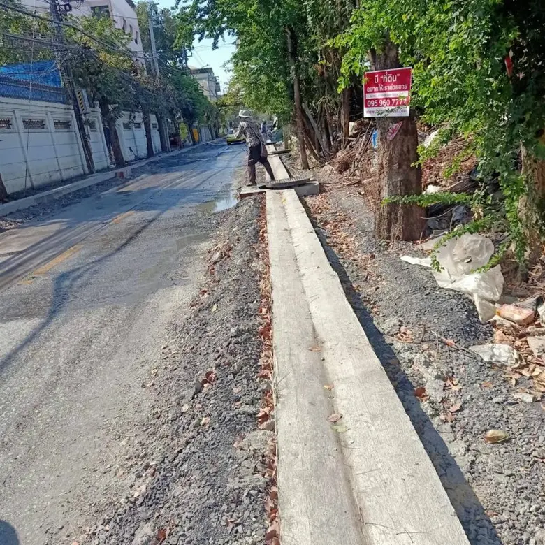 นางสาวอัญชนา บุญสุยา ผู้อำนวยการเขตบางเขน...