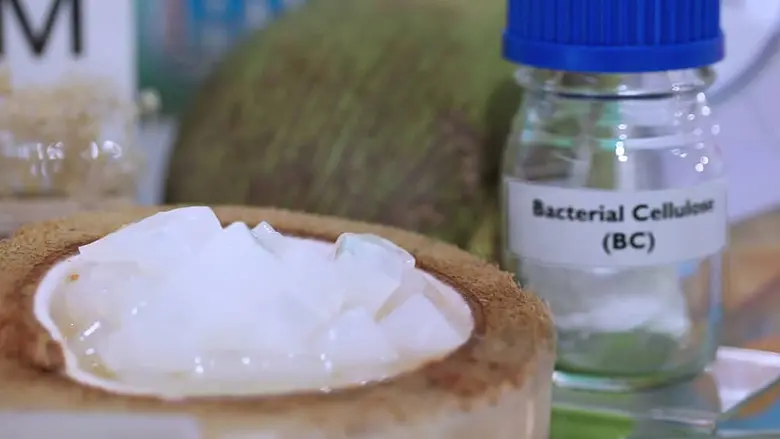 Cello-gum Innovation Revolutionizes the Food Industry: Turning Coconut Jelly Biowaste into Billions in Raw Material Value