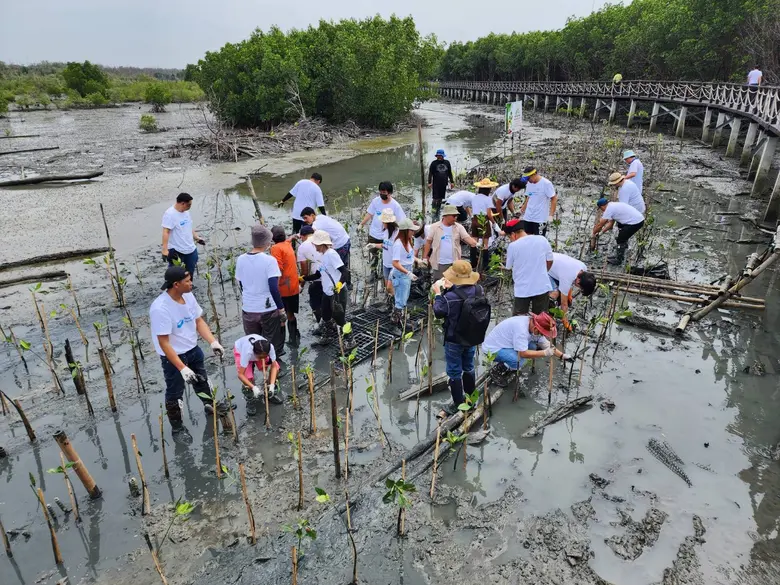 ผู้บริหารและพนักงานผ้าเบรกเบ็นดิกซ์อาสาปลูกป่าชายเลนที่จ.ชลบุรี