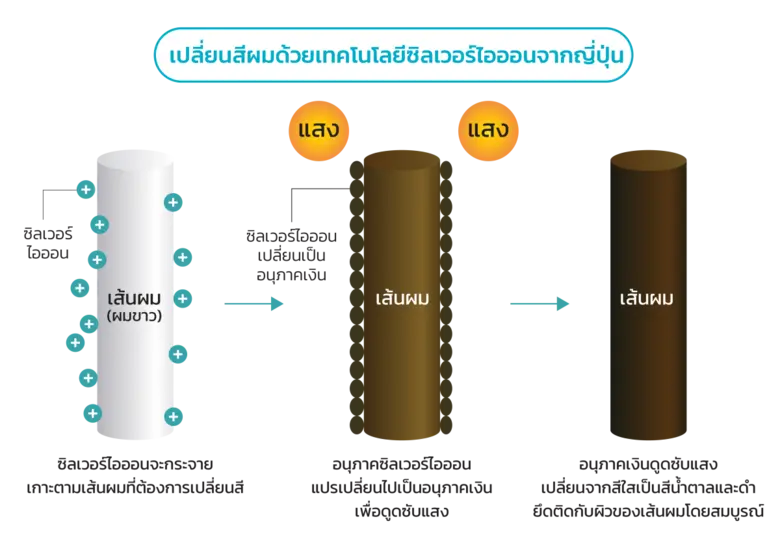 “ภูมิพฤกษา” เปิดตัว แคมเปญผลิตภัณฑ์ใหม่ “ผมหิวแสง”