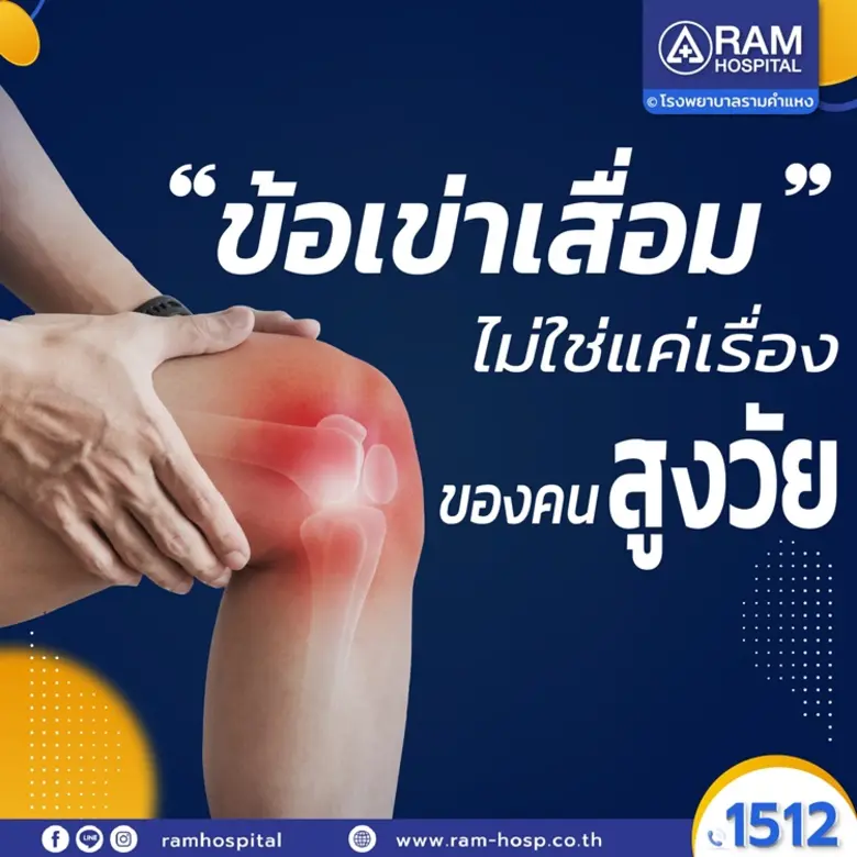 ข้อเข่าเสื่อม ปัญหาใหญ่ของผู้สูงอายุ แต่ไ...