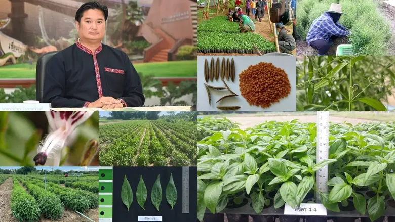 นายรพีภัทร์ จันทรศรีวงศ์ อธิบดีกรมวิชาการ...