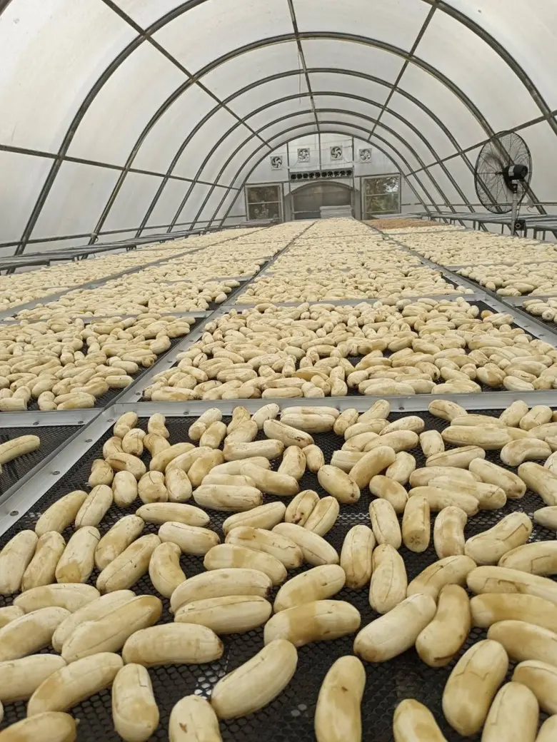 นางธัญญ์พิชชา เถระรัชชานนท์ ผู้อำนวยการสำ...