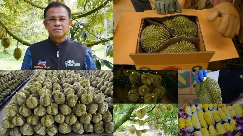 ดร.ภัสชญภณ หมื่นแจ้ง รองอธิบดีกรมวิชาการเ...