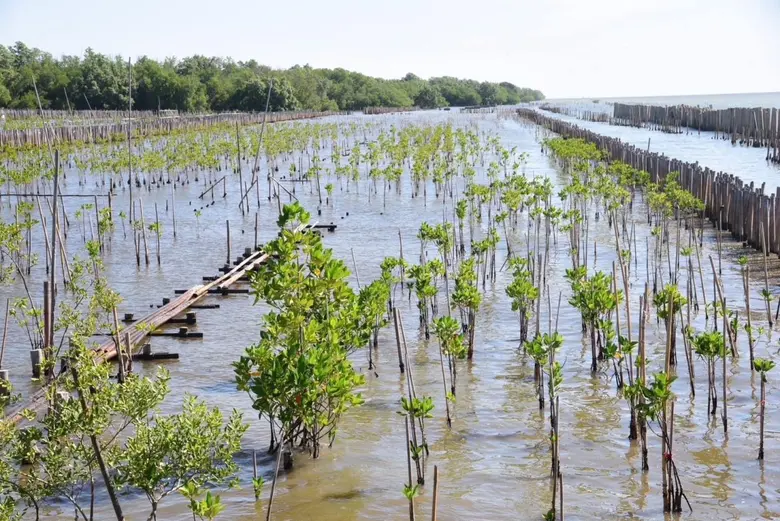นางภัสรา นทีทอง ผู้อำนวยการเขตบางขุนเทียน...