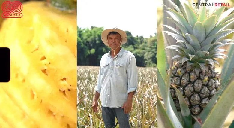 รสชาติสับปะรดที่ หวาน หอม กรอบ แกนกลางรับ...