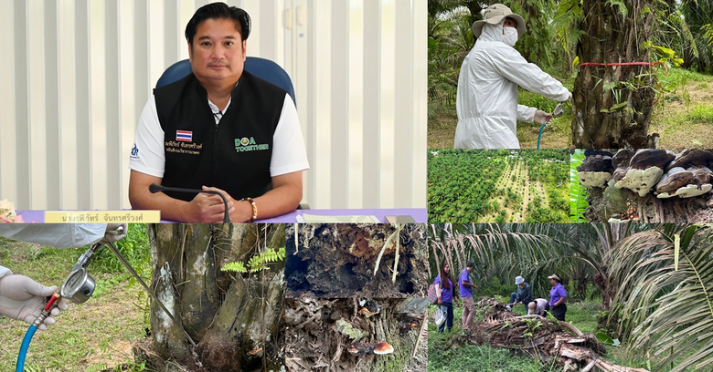 นายรพีภัทร์ จันทรศรีวงศ์ อธิบดีกรมวิชาการ...