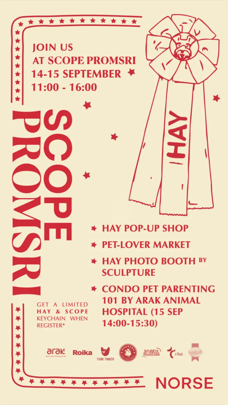 นอร์ส รีพับลิค (Norse Republics) ผู้นำด้า...