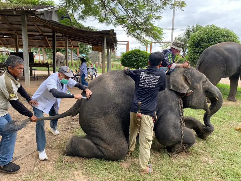 วันที่ 9 กันยายน 2567 ที่ผ่านมา สมาชิกวุฒ...