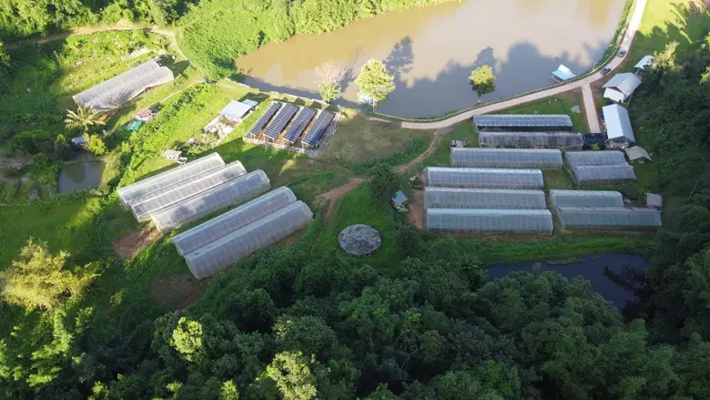 เป้าหมายในการขยายผลสำเร็จโครงการหลวงภายใต...