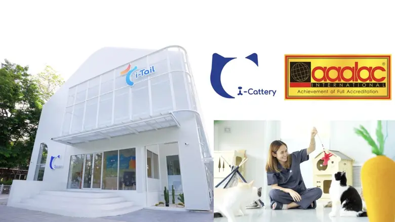 ศูนย์วิจัยอาหารแมว i-Cattery ภายใต้การดำเ...