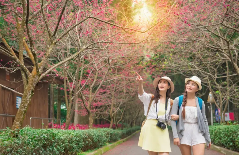 สายเที่ยวต้องเช็ค! ซื้อประกันเดินทางต่างประเทศที่ไหนดี