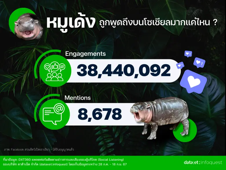 "หมูเด้ง" เด้งยังไงให้ดังเว่อร์! ถอดรหัส Social Media Marketing