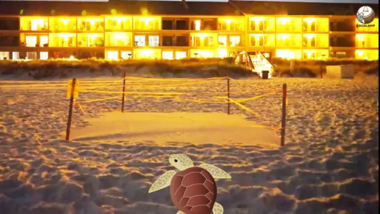 COCOLAMP Saves Lost Baby Sea Turtles, An Innovation from Chulalongkorn Students