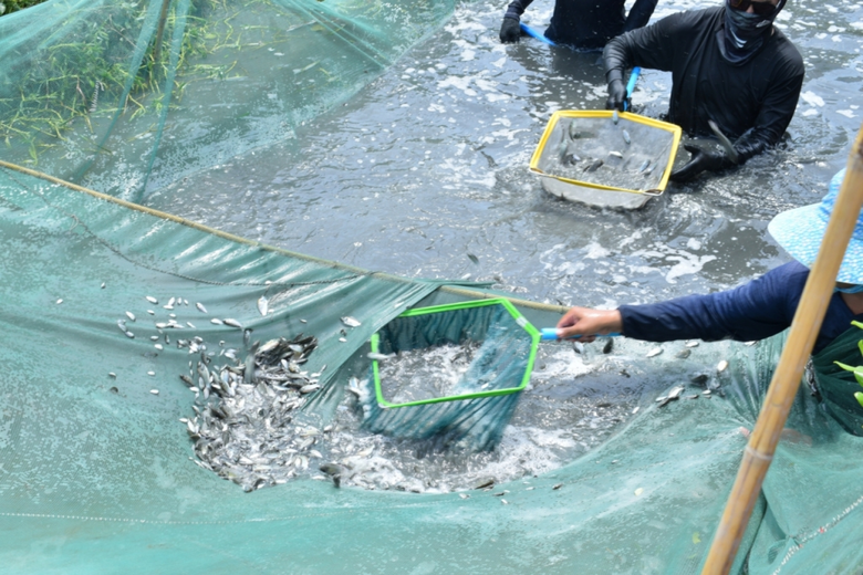 ประมงจังหวัดสมุทรสงคราม และประมงจังหวัดสม...