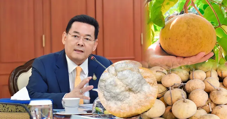 "พาณิชย์" เดินหน้าสนับสนุนชุมชนท้องถิ่นอย...