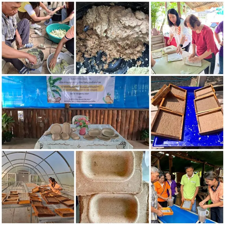 สถาบันวิจัยวิทยาศาสตร์และเทคโนโลยีแห่งประ...