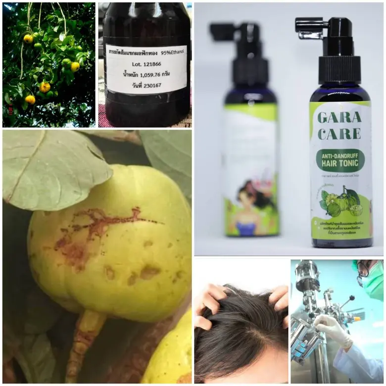 กระทรวงการอุดมศึกษา วิทยาศาสตร์ วิจัยและน...