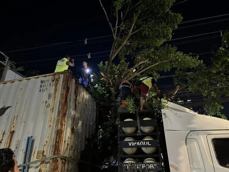 กทม. ตรวจสอบความแข็งแรงของต้นไม้ใหญ่ พร้อมรับสถานการณ์พายุฝนฟ้าคะนอง
