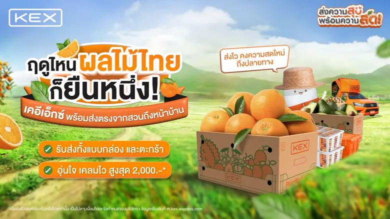 บริษัท เคอีเอ็กซ์ เอ็กซ์เพรส (ประเทศไทย) ...