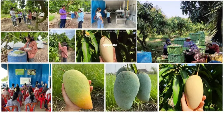 กระทรวงการอุดมศึกษา วิทยาศาสตร์ วิจัยและน...