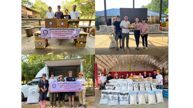 จากวิกฤตมหาอุทกภัยครั้งใหญ่ในเชียงใหม่เมื...