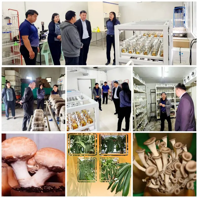 ผศ.ดร.วีรชัย อาจหาญ ผู้ว่าการ สถาบันวิจัย...