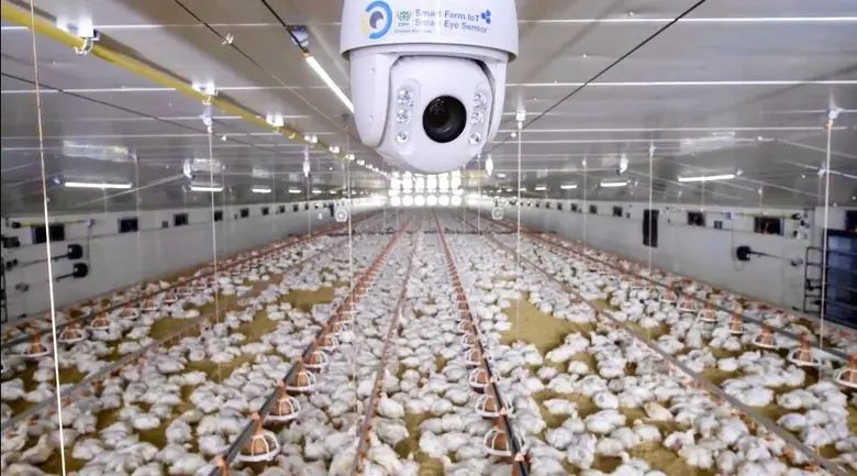 อุตสาหกรรมเกษตรและการเลี้ยงสัตว์ทั่วโลก ก...