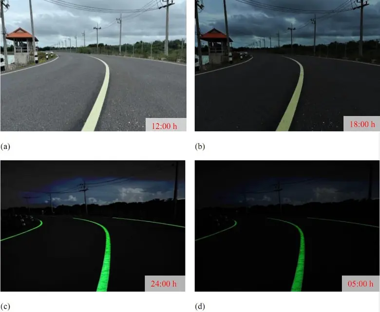 ทีมวิจัยจากมหาวิทยาลัยวลัยลักษณ์ ประสบควา...