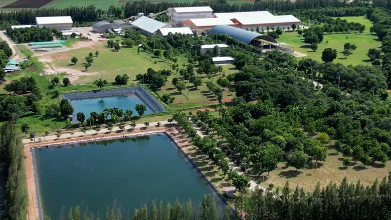 บริษัท บางจาก คอร์ปอเรชั่น จำกัด (มหาชน) ...