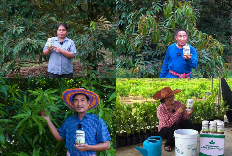 "คิงส์ กรีน" ไม่ใช่เพียงปุ๋ยเร่งโตธรรมดา!...