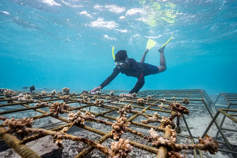 Anantara Iko Mauritius Resort &amp; Villas Unveils its New 'Be Iko' Conservation Initiative