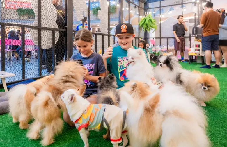 ควันหลง..กิจกรรมวันเด็กในงาน "Jungceylon ...