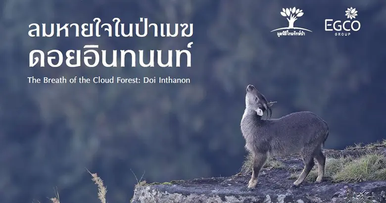 บริษัท ผลิตไฟฟ้า จำกัด (มหาชน) หรือ EGCO ...