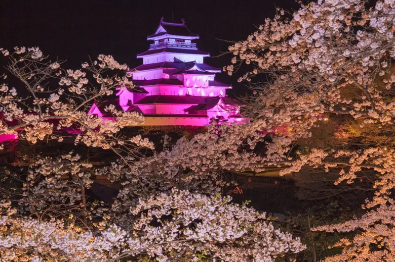 เดินทางสะดวกสบายด้วย JR East Pass! รวมพิกัดชมวิวซากุระและเทศกาลชมซากุระ ปี 2025