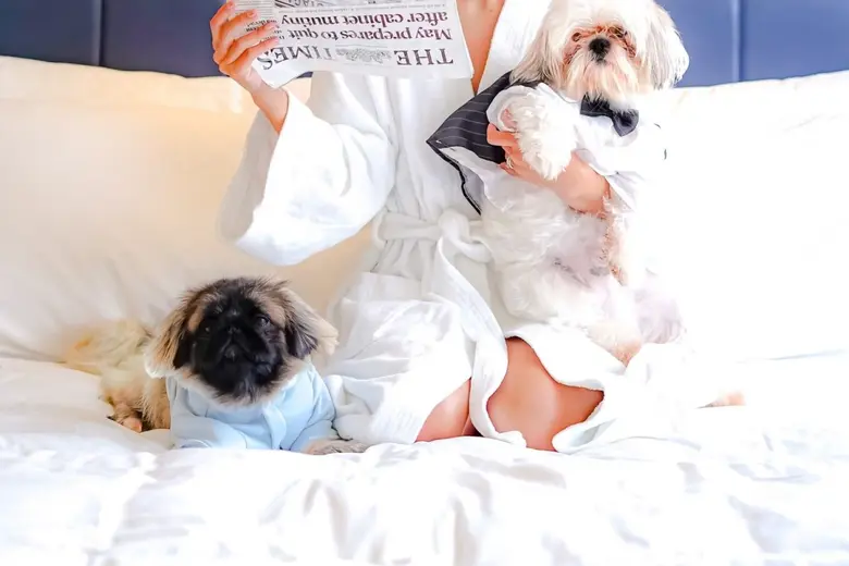 โรงแรมสเตย์บริดจ์ สวีท แบงค็อก ทองหล่อ เป...