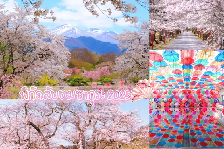 เมื่อลมฤดูหนาวพัดผ่าน ความอบอุ่นของฤดูใบไ...