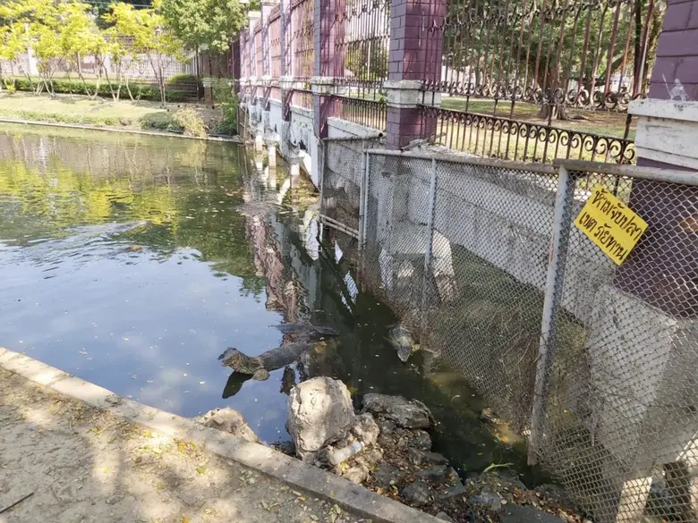 นายประพาส เหลืองศิรินภา ผู้อำนวยการสำนักส...