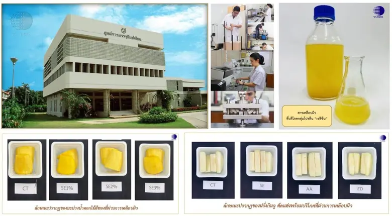 กระทรวงการอุดมศึกษา วิทยาศาสตร์ วิจัยและน...