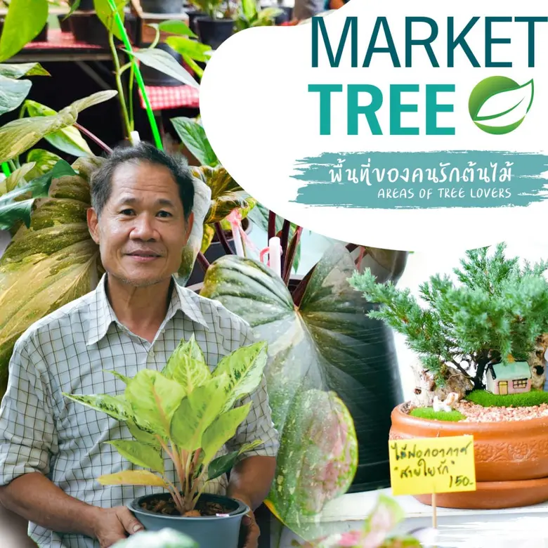 ได้เวลาของคนรักต้นไม้ ชวนช้อปชิวๆ "TREE M...